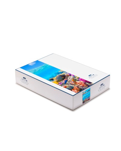 Completo Lenzuola Oceano by Carmassi in Cotone Caleffi - Comfort e ...