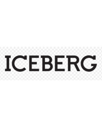 Icebeg